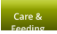 Care &  Feeding